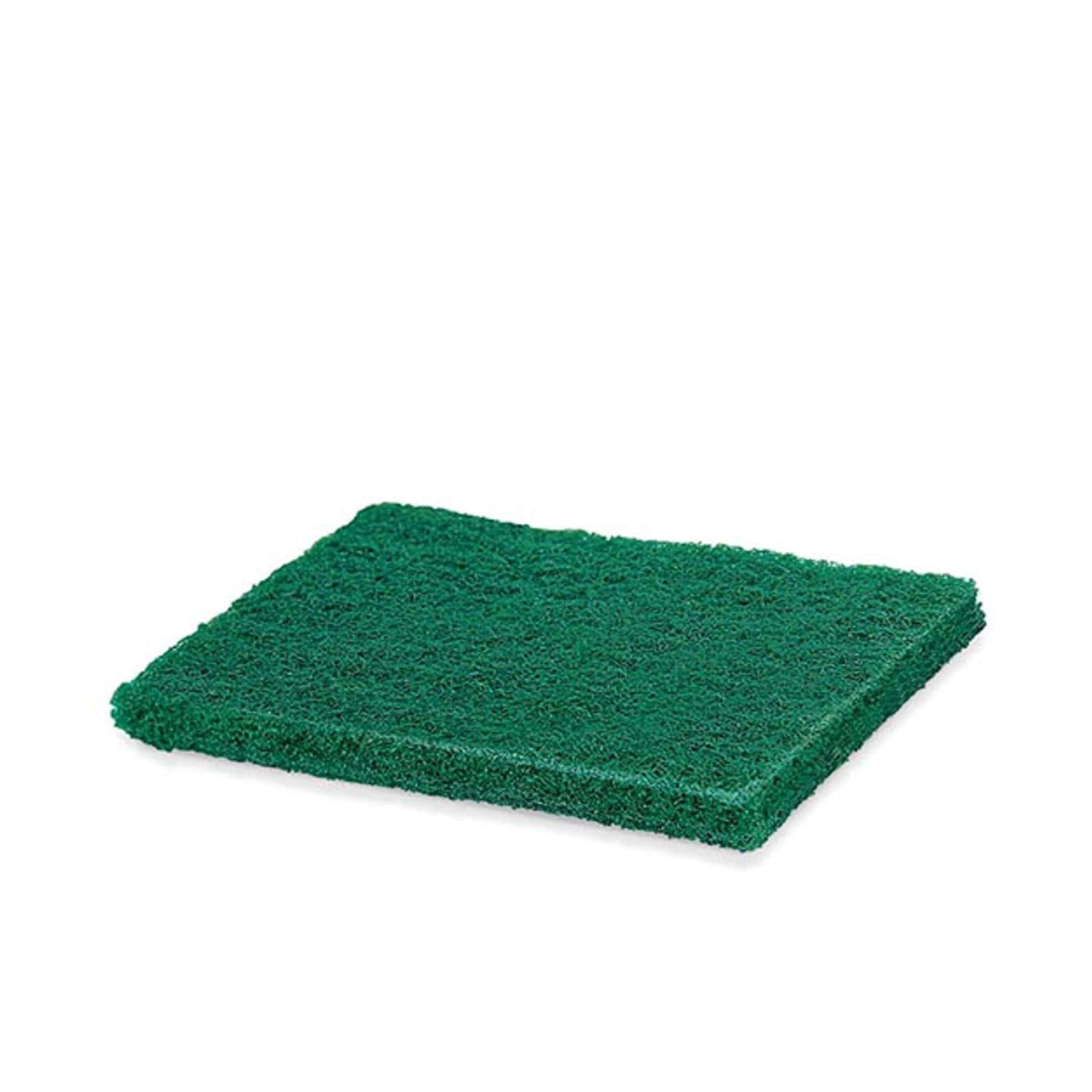 Scrub Sponge Cleaning Pads Aqua Green  10PCS