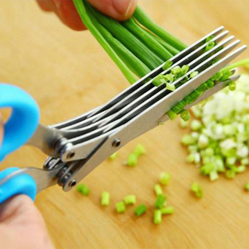 MULTIFUNCTION VEGETABLE STAINLESS STEEL HERBS SCISSOR WITH 5 BLADES